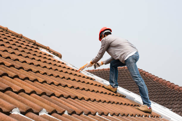 Best Roof Waterproofing  in Homewood, IL